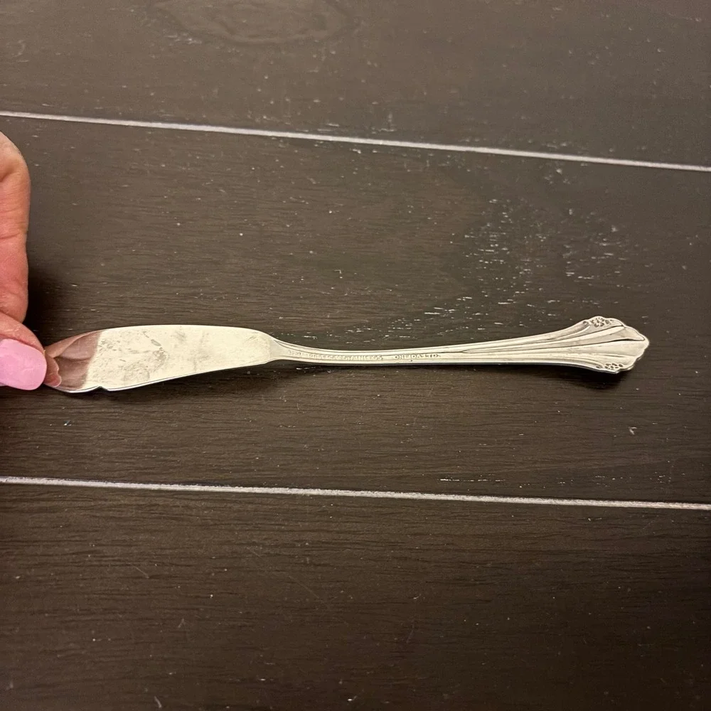 Oneida 1881 Rogers Stainless‎ | Bittersweet Repose | Butter Knife | Floral 6.75